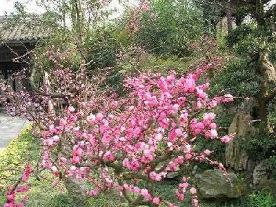 成都草堂祠 