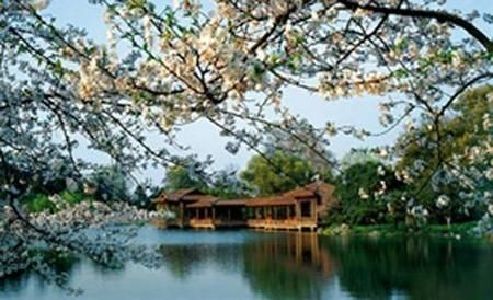 上海淀山湖梅园 