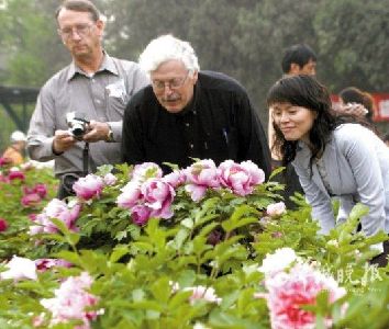 花色雍容、香气浓郁的牡丹，是我国特有的名贵花卉。