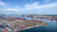 青岛前湾港.JPG