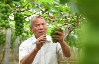 3.2副本.jpg