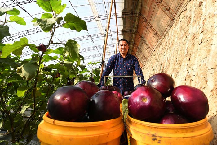 乐亭县古河乡人口_乐亭县汤家河镇敬老院
