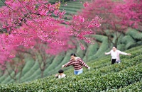 5.3副本.jpg