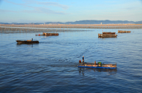 海洋.JPG