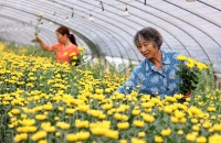 5.3副本.jpg