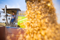04.png