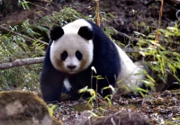 图片 7.jpg
