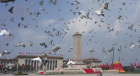 微信图片_20250908093707_235_6.png