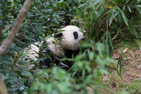 微信图片_20251219110019_858_6.png
