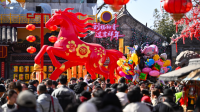 微信图片_20260212141229_1126_6.png
