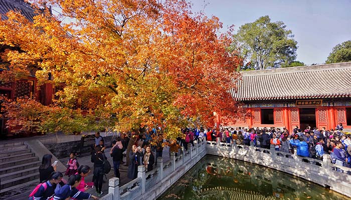 10月26日,游人在北京香山公园观赏红叶.图片
