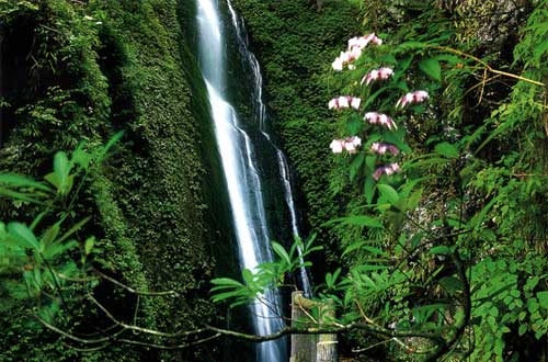 千佛山，位于安县、北川和茂汶三县交界处