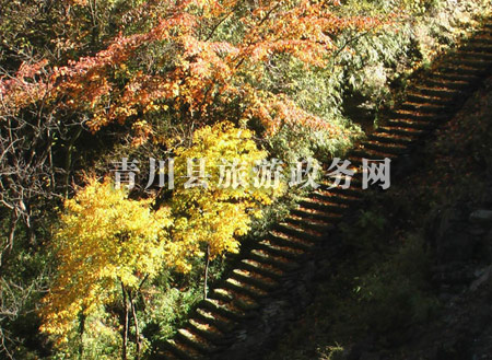 青川县唐家河自然保护区