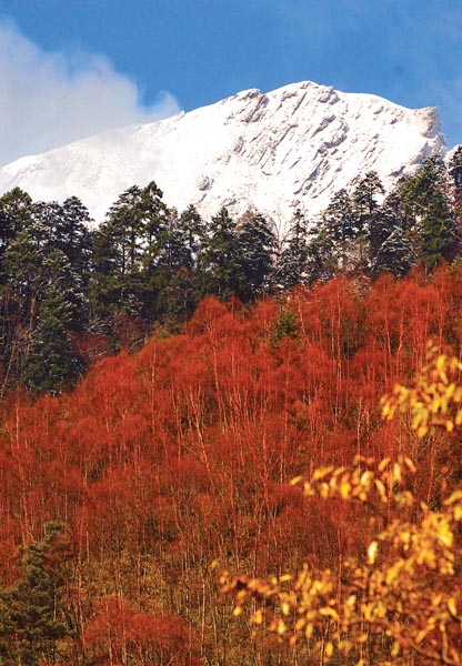 青川县唐家河红叶风景