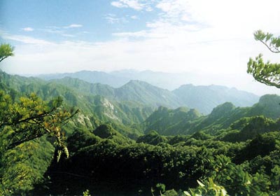 四川省宝顶自然保护区，地处岷山南麓中段，位于茂县富顺、永和、沟口三乡境内，距县城39公里。总面积19560公顷，是茂县大熊猫珍稀动物集中分布区和珍贵植物较多分布区。